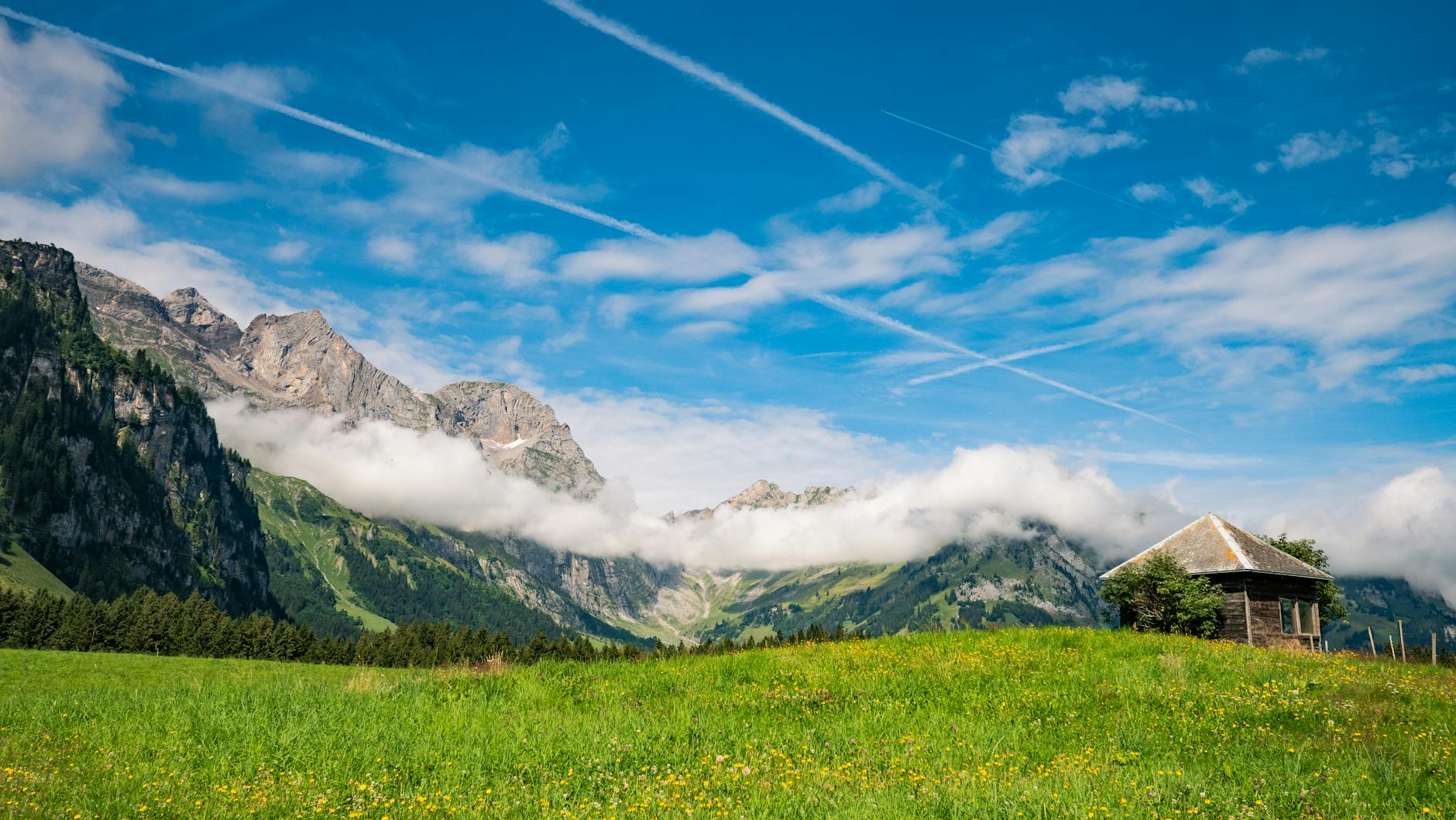 green stocks switzerland