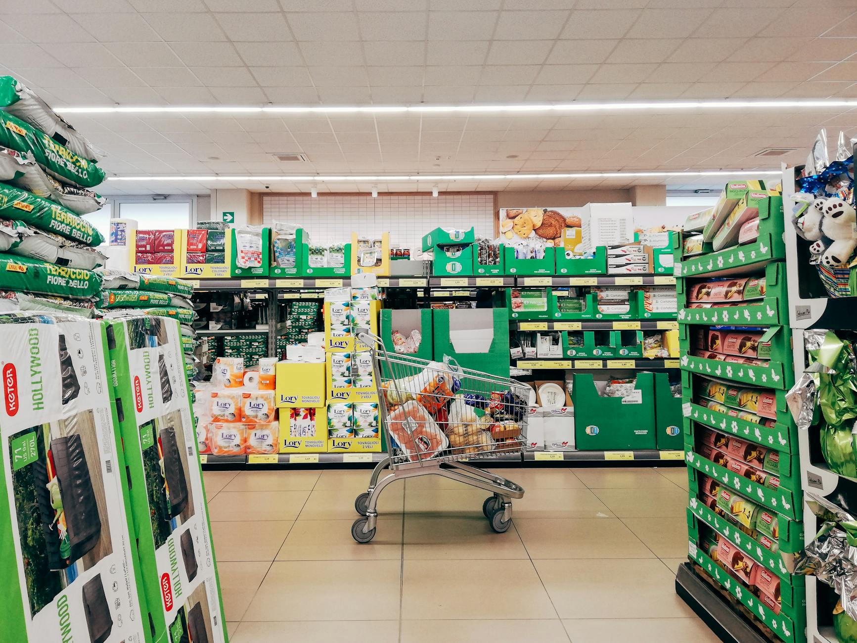 Swiss grocery shopping expenses