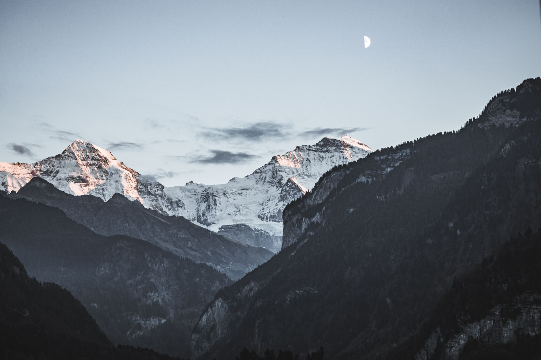 Swiss small cap companies