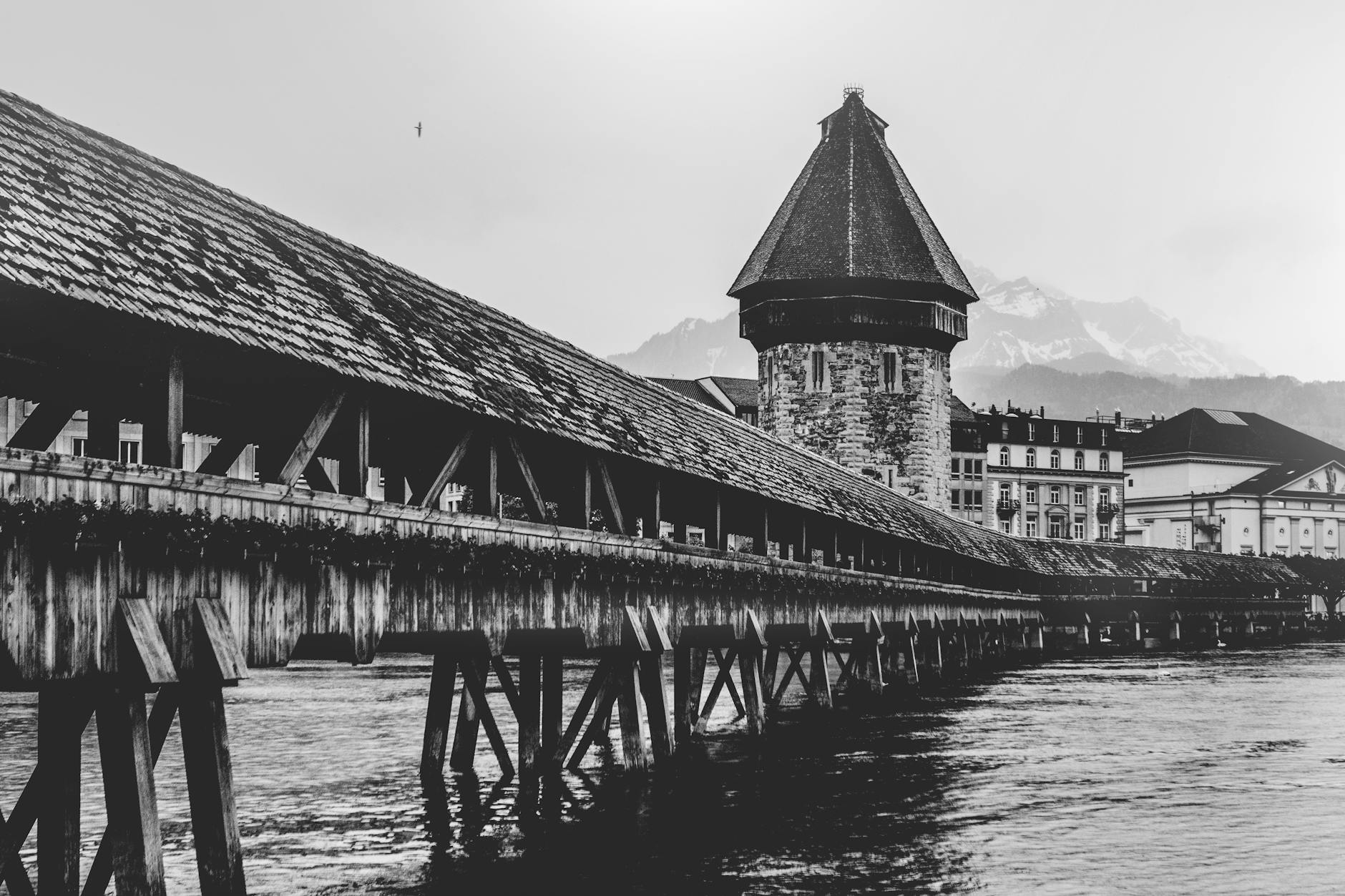 Swiss dividend stocks
