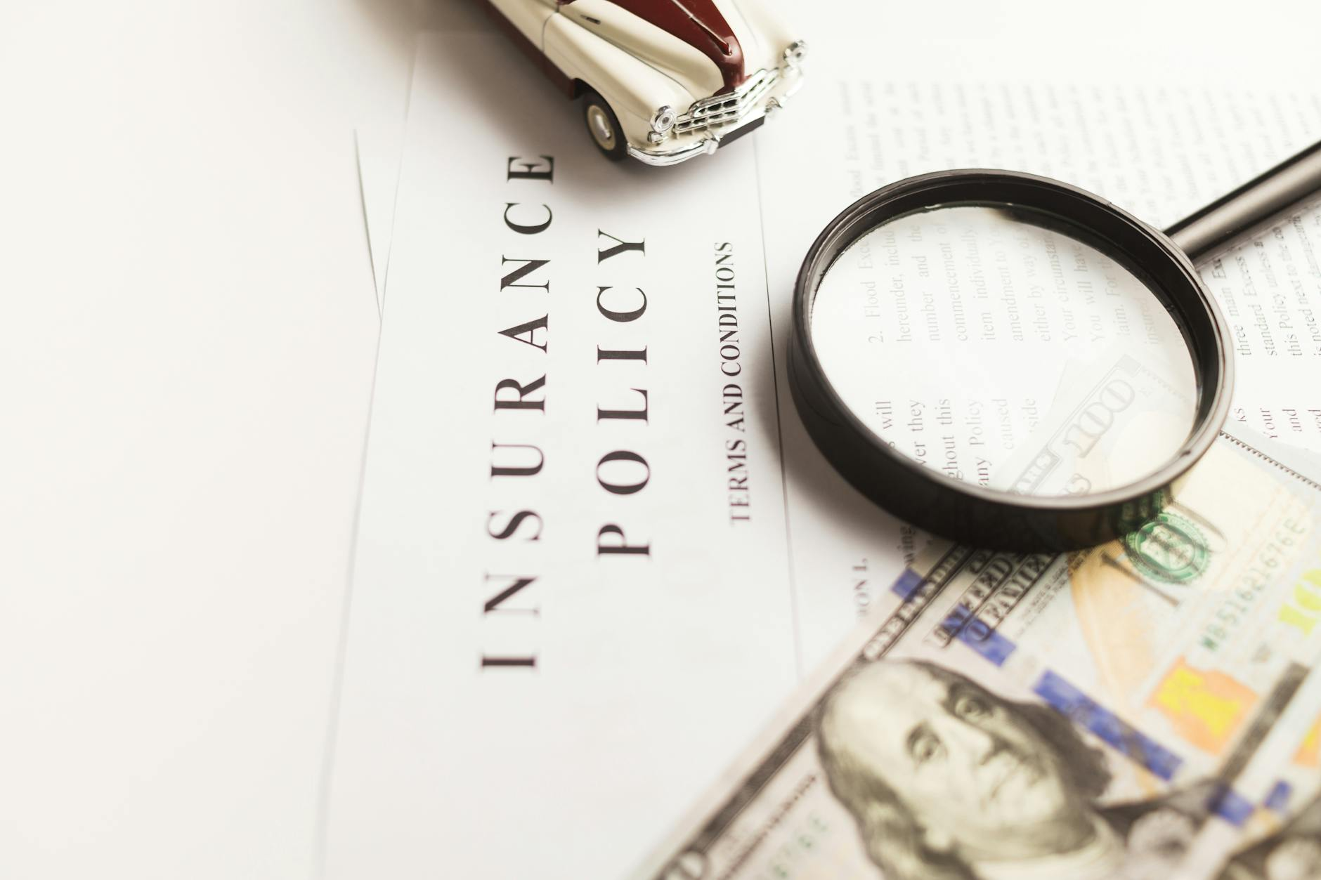 fine print insurance contract
